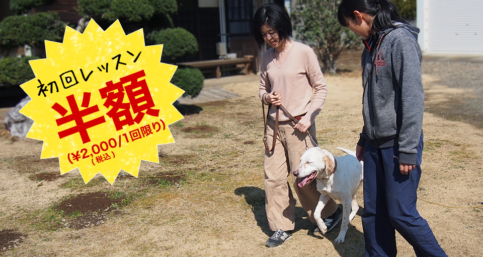 初回レッスン無料